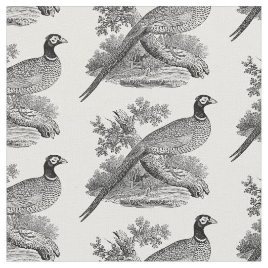 Antieke tekening van fazant, jachtvogel, zwart-wit stof (Close Up)
