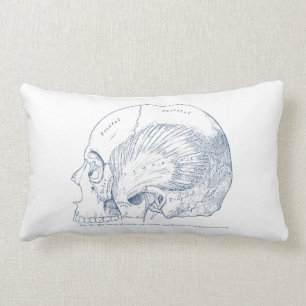 Antieke tekening van menselijke anatomie Temporale Kussen