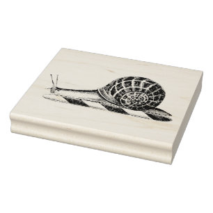 Antieke tekening van slak rubberstempel