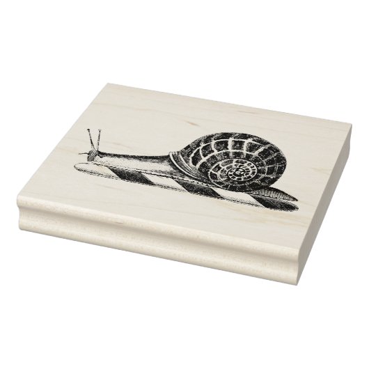 Antieke tekening van slak rubberstempel (Stempel)