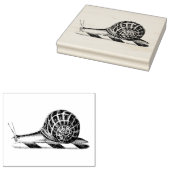Antieke tekening van slak rubberstempel (Gestempeld)
