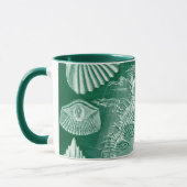 Antieke Teleostei Schelpen en Vissen door Ernst Ha Mok (Links)