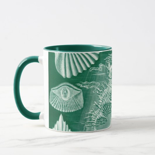 Antieke Teleostei Schelpen en Vissen door Ernst Ha Mok (Links)