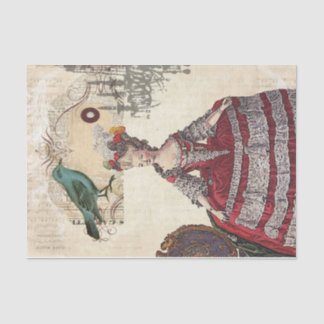 Antieke thema feest verjaardag Marie Antoinette Pa Tissuepapier