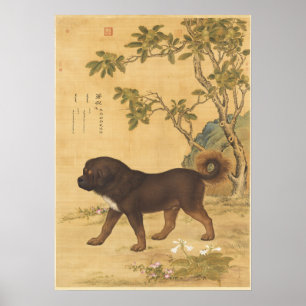Antieke Tibetaanse Mastiff Keizerlijke Chinese Kun Poster