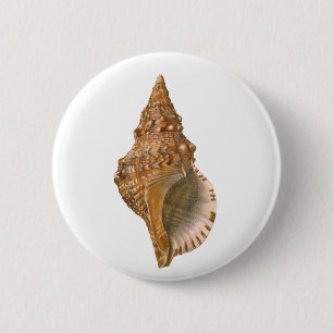 Antieke Triton Zeeschelp, Marien Oceaan Dier Ronde Button 5,7 Cm