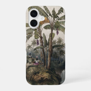 Antieke Tropische Bananenboom Bos Vintage Bota iPhone 16 Hoesje