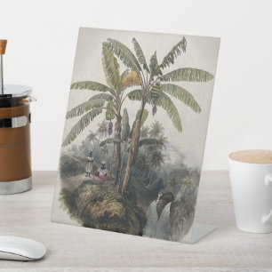 Antieke Tropische Bananenboomgaard   Vintage Bota Reclamebord Met Voetstuk