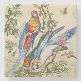 Antieke Tropische Papegaai en Vlinder Fijne Kunst Stenen Onderzetter