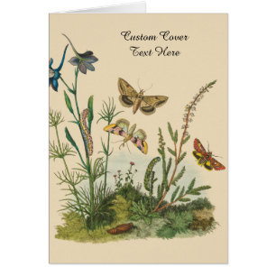 Antieke Tuin Insecten, Vlinders, Rups