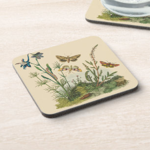 Antieke Tuin Insecten, Vlinders, Rups Bier Onderzetter