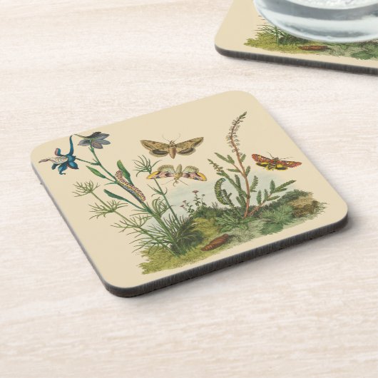 Antieke Tuin Insecten, Vlinders, Rups Bier Onderzetter (Linkerzijde)