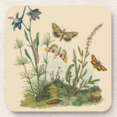 Antieke Tuin Insecten, Vlinders, Rups Bier Onderzetter (Voorkant)