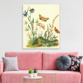 Antieke Tuin Insecten, Vlinders, Rups Canvas Afdruk (Insitu (Woonkamer))