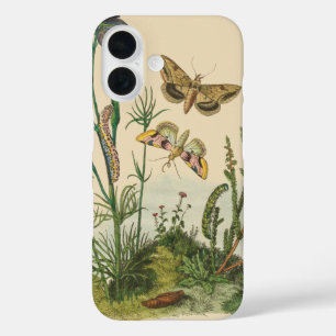 Antieke Tuin Insecten, Vlinders, Rups iPhone 16 Hoesje