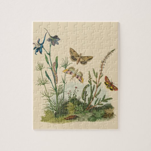 Antieke Tuin Insecten, Vlinders, Rups Legpuzzel (Verticaal)