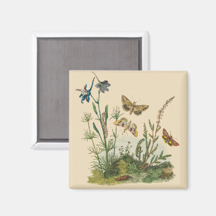 Antieke tuininsecten, vlinders, rupsen magneet