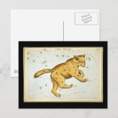 Antieke Ursa Major Beer Briefkaart (Voorkant / Achterkant)