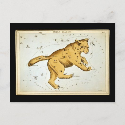 Antieke Ursa Major Beer Briefkaart (Voorkant)