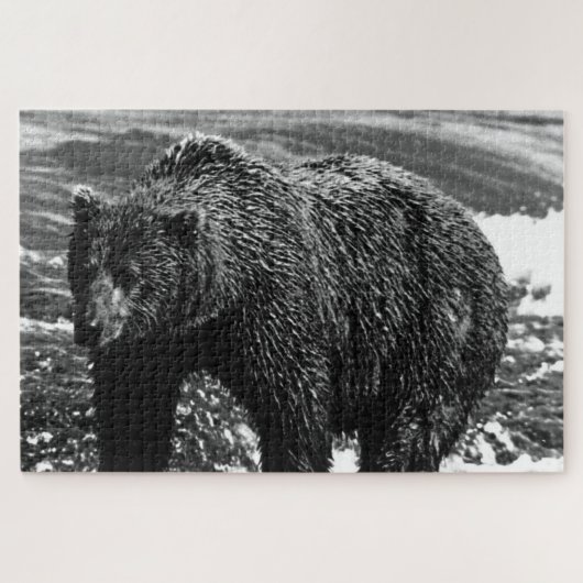 Antieke USA Alaska bruine beer Legpuzzel (Horizontaal)