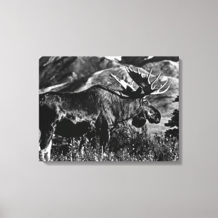 Antieke USA Alaska mannetjes eland Canvas Afdruk