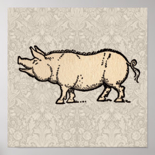 Antieke Varken Biggetje Schattig Vintage Poster