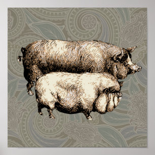 Antieke varkens Vintage tekening van varkentjes Poster