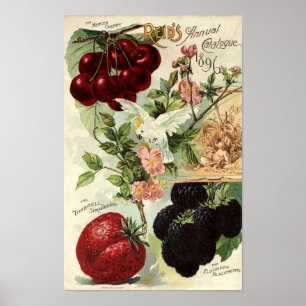 Antieke Victoriaanse tijdperk Reid's Zaadcatalogus Poster