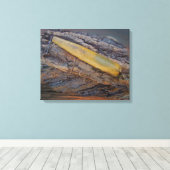Antieke vislokvogel op drijfhout canvas afdruk (Insitu (Houten vloer))