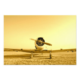 Antieke Vliegtuigvleugels Gouden Sepia Fijne Kunst Foto Afdruk