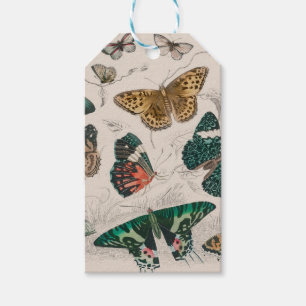 Antieke Vlinder Illustratie: 1820 Goudsmid Cadeaulabel