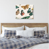 Antieke Vlinder Illustratie: 1820 Goudsmid Canvas Afdruk (Insitu (Slaapkamer))