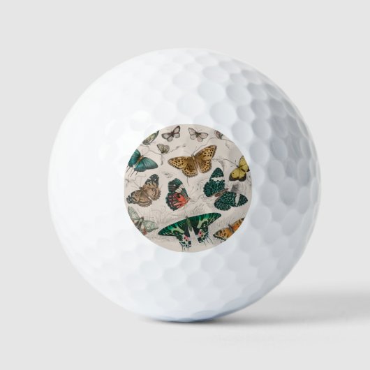 Antieke Vlinder Illustratie: 1820 Goudsmid Golfballen (Voorkant)