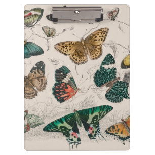 Antieke Vlinder Illustratie: 1820 Goudsmid Klembord
