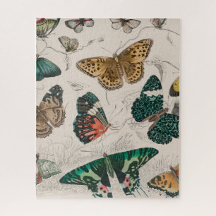 Antieke Vlinder Illustratie: 1820 Goudsmid Legpuzzel