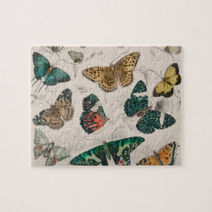 Antieke Vlinder Illustratie: 1820 Goudsmid Legpuzzel