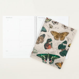 Antieke Vlinder Illustratie: 1820 Goudsmid Planner
