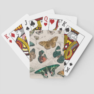 Antieke Vlinder Illustratie: 1820 Goudsmid Pokerkaarten