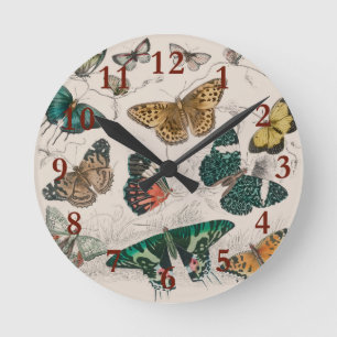 Antieke Vlinder Illustratie: 1820 Goudsmid Ronde Klok