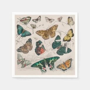 Antieke Vlinder Illustratie: 1820 Goudsmid Servet