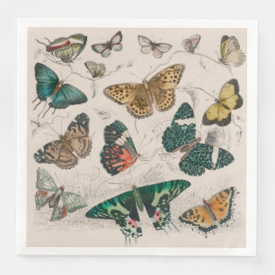 Antieke Vlinder Illustratie: 1820 Goudsmid Servet