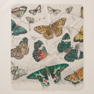 Antieke Vlinder Illustratie: 1820 Goudsmid Sherpa Deken