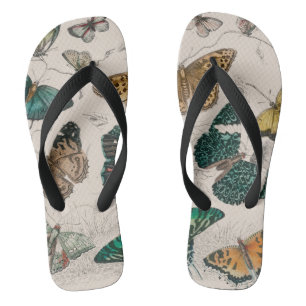 Antieke Vlinder Illustratie: 1820 Goudsmid Teenslippers