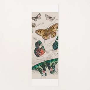 Antieke Vlinder Illustratie: 1820 Goudsmid Yogamat