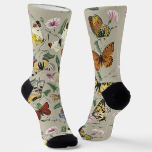 Antieke Vlinder Mot Botanische Bloemkunst 1842 Sokken