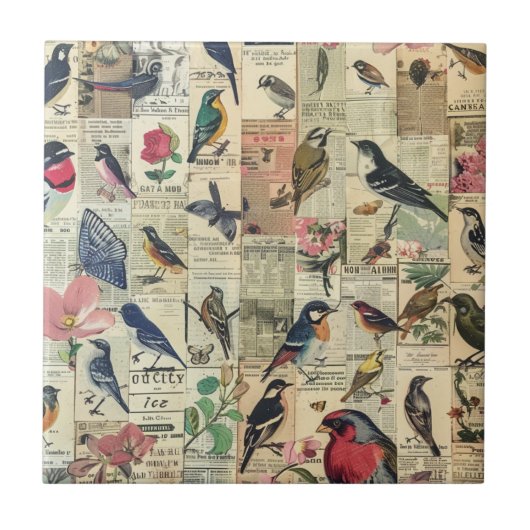 Antieke Vogel Vlinder Krant Botanisch Tegeltje (Voorkant)