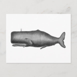 Antieke Walvis Briefkaart