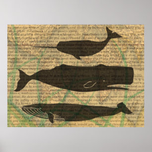 Antieke Walvis Nautilus: Vintage Zeeleven Poster