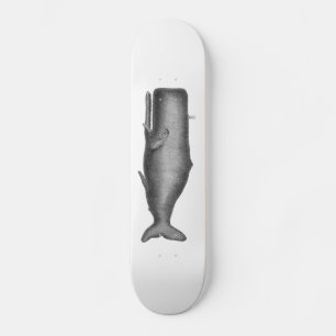 Antieke Walvis Persoonlijk Skateboard