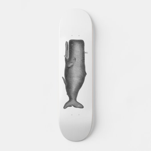 Antieke Walvis Persoonlijk Skateboard (Voorkant)